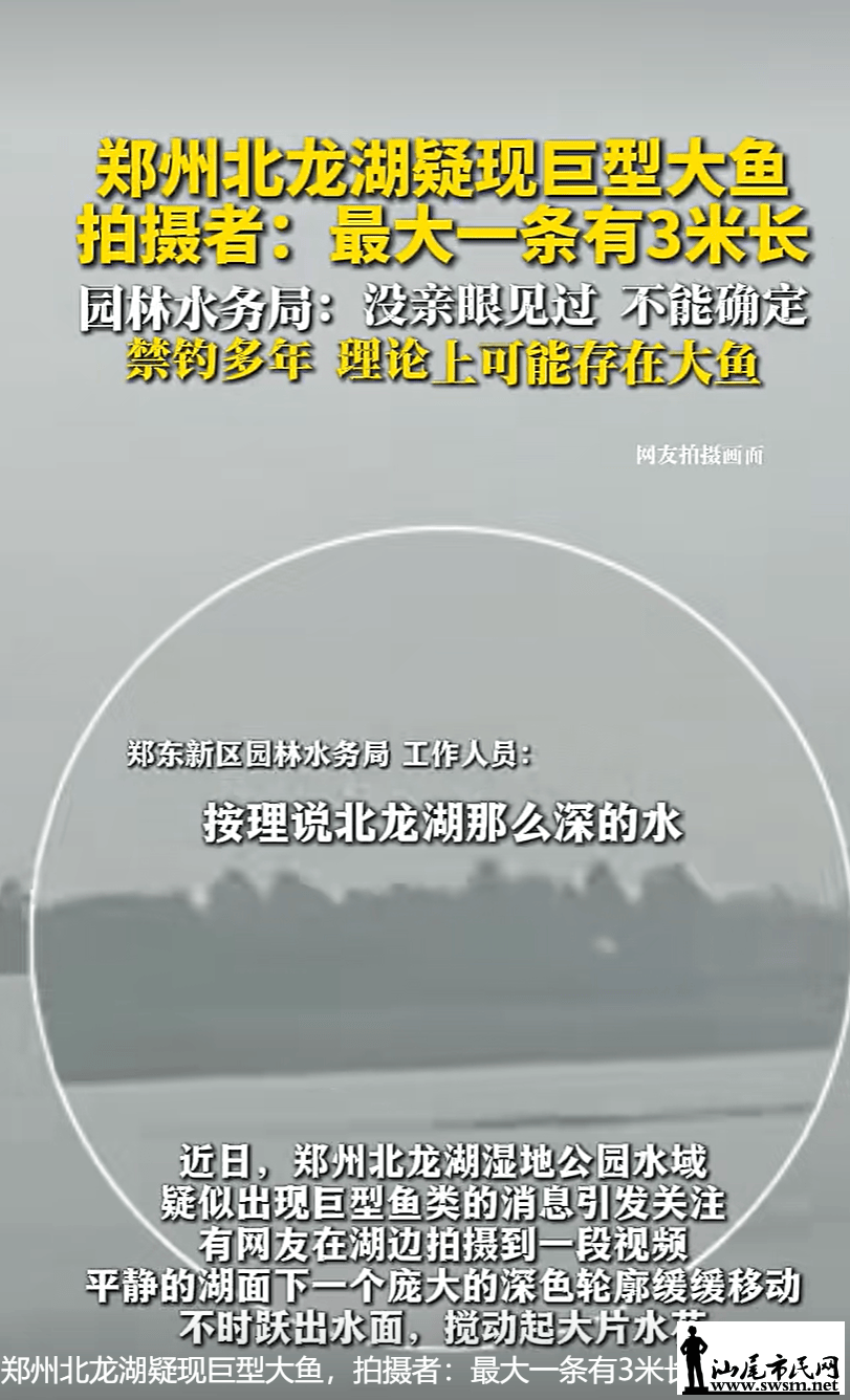 f340dc6d821b4928af1928cbc4241b9a.png