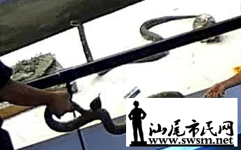 a6baea74b1de45cebeb734a67a349c0d.png