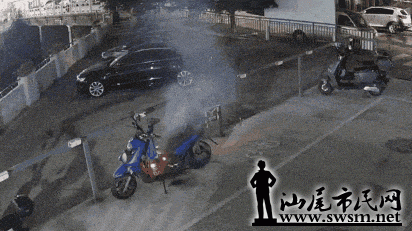 11.gif