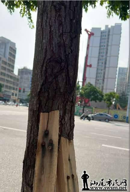 �е���5.png