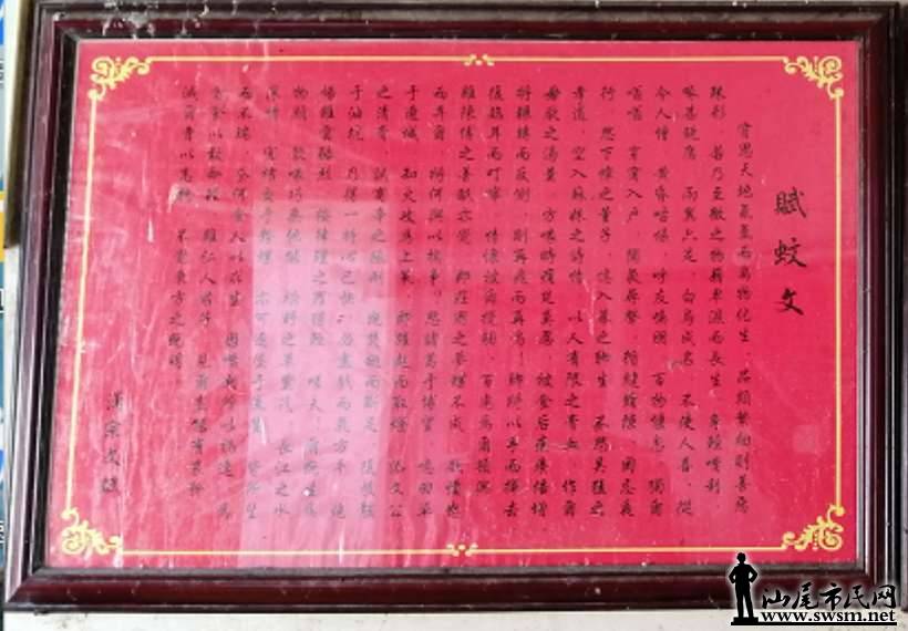 ֱ��8.png