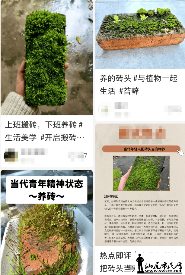 034eaab8765d432cbdd4444dd8242ff7.png