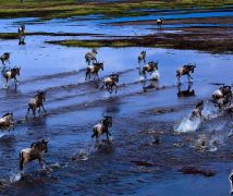 Ӱ 2013.7.27Ӱšڶֱġ