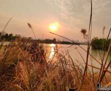 ���ݡ�������ʪ�ع�԰