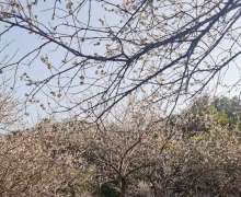 ����   ���ӹ�÷