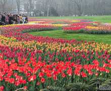 ���ݡ�������